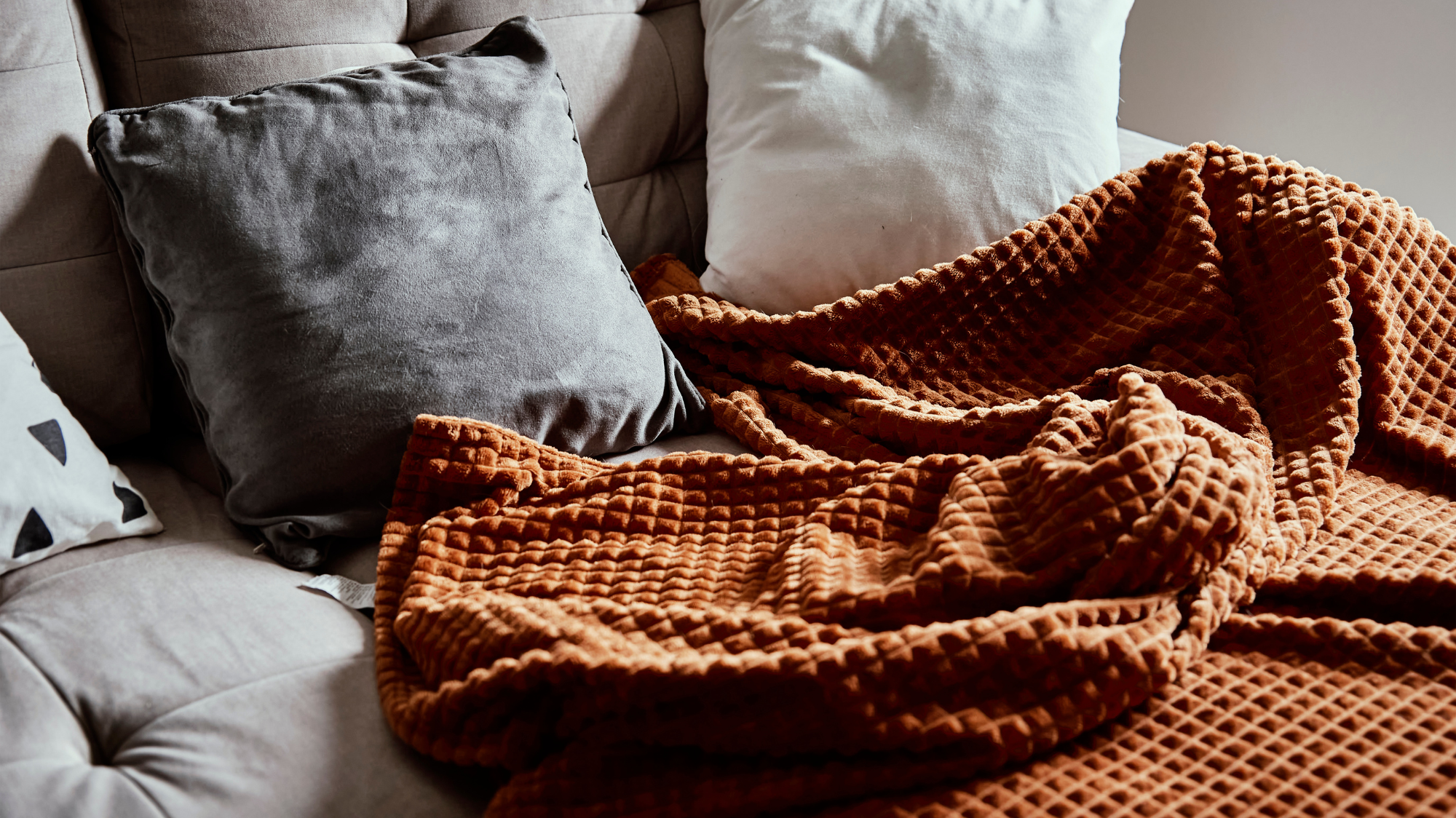 BHS CushionsBlanket