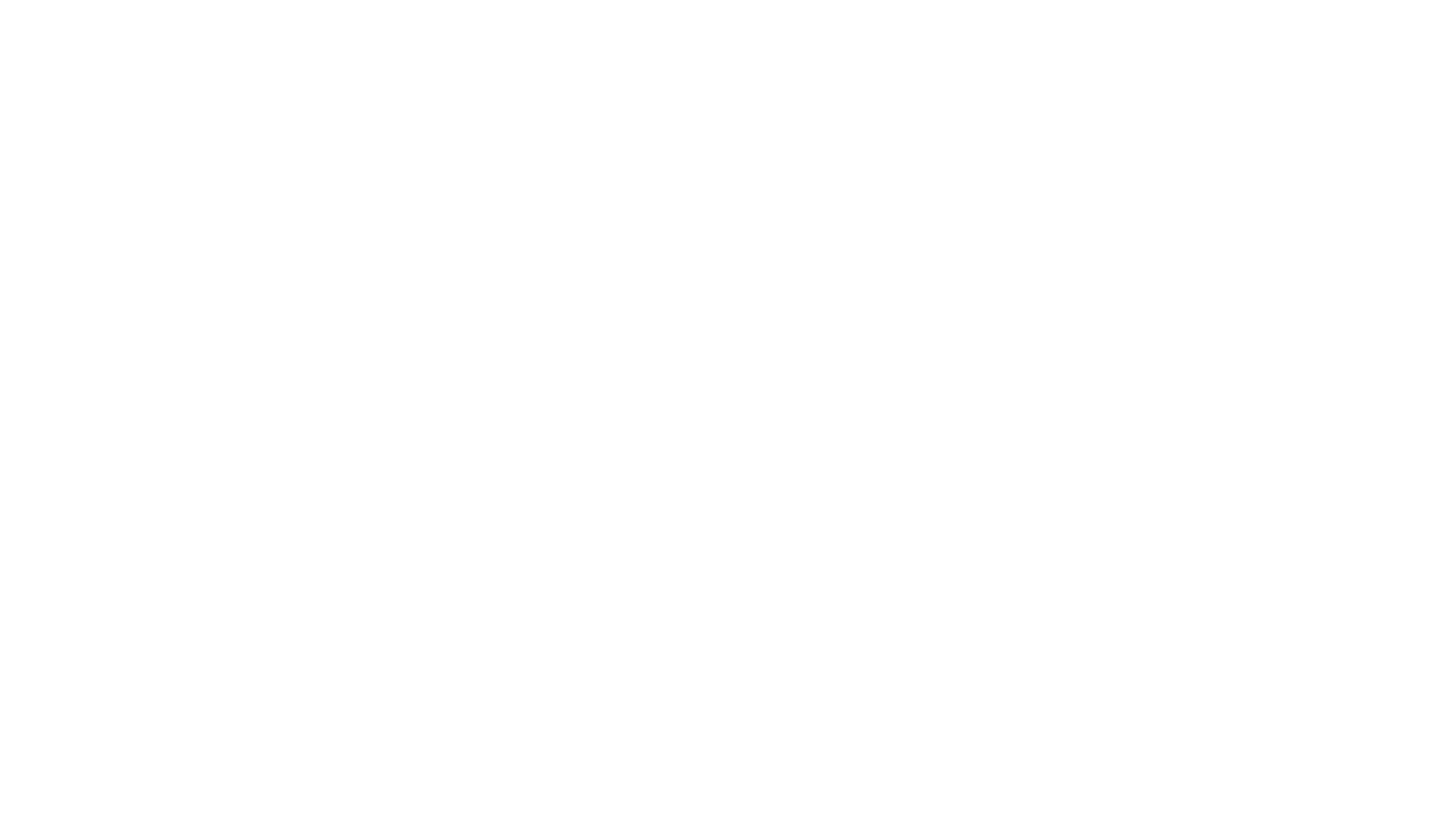 FDF Logo WhiteBigger FDF Logo WhiteBigger