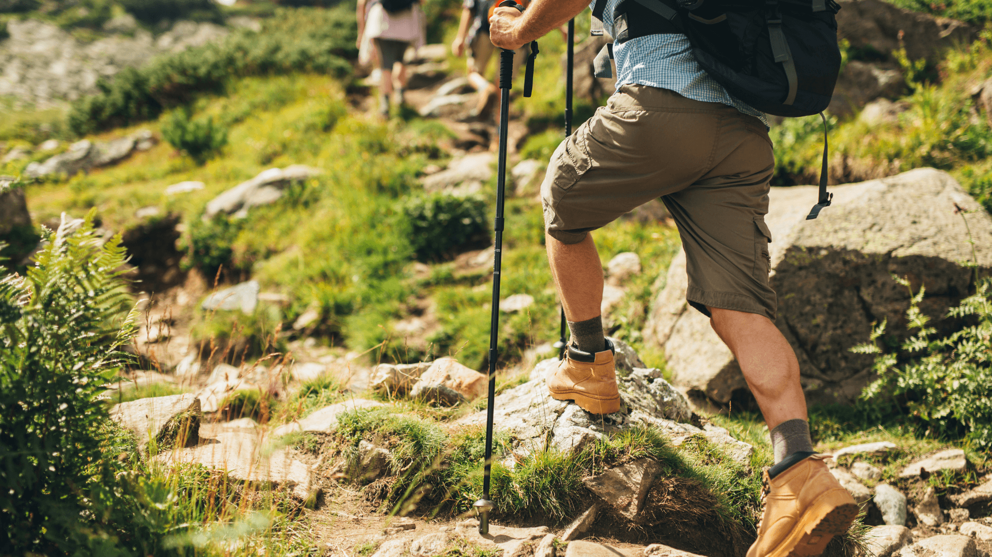 Trekitt Generic Hiker (compressed)